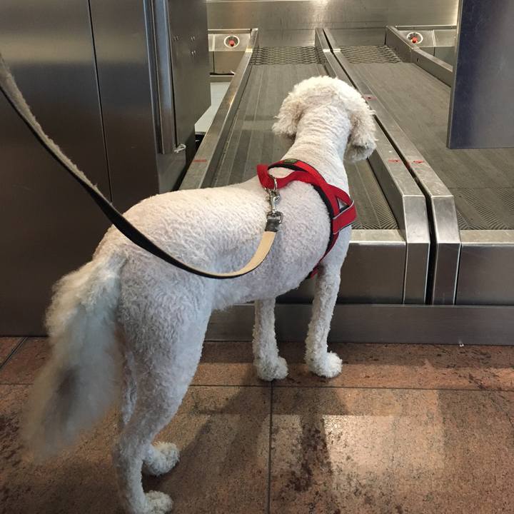 6e3b42d9 3f2b 4b92 bfe7 8fd62eea1b50 1573895399818