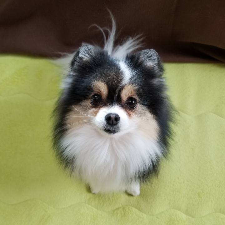 6e3b713a 5670 4bb5 b8aa 0f460a24ad2b 1555456327580