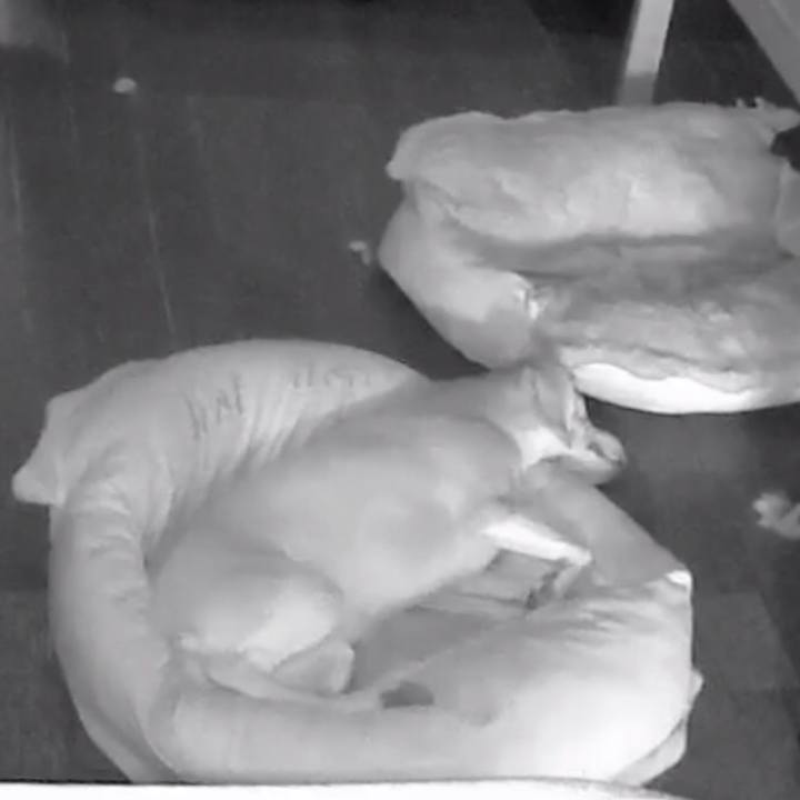 6e3b93c4 a63f 4f0e 8f65 5c3022085660 1531187504499