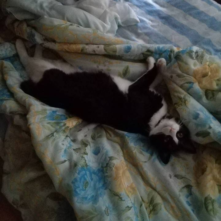 6e3b9672 a3d0 4c24 9544 fec6d57bc0ca 1595822202271