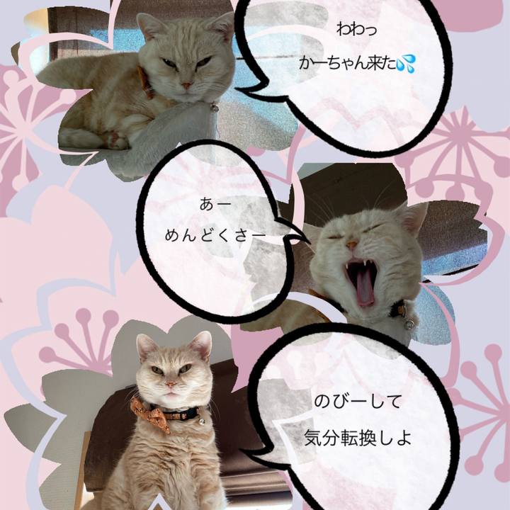 6e3b9d11 4ead 4112 9771 6f8f57a9753a 1713100588853