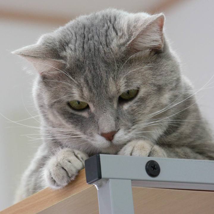 6e3baaf3 49bb 4da5 b25c 996ab9ae4d63 1535438816475