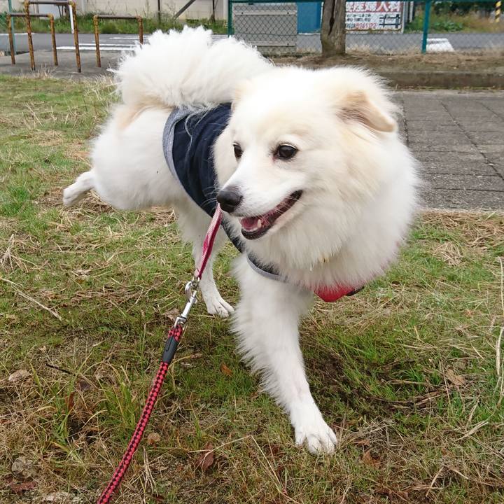 6e3bc40a 1404 4b68 807e 0bae6d4b0820 1539819719993