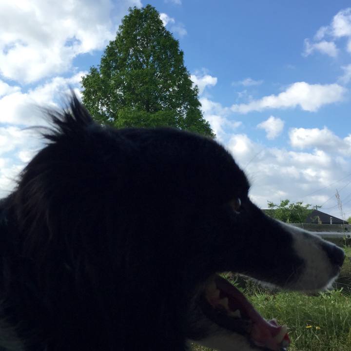 6e3bcce3 b353 4430 b412 84543e887f1a 1525302603511