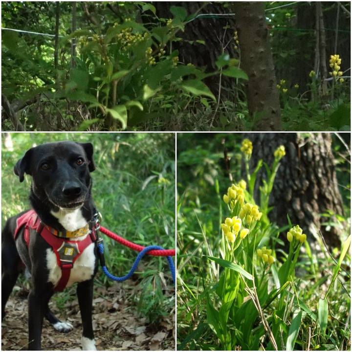 6e3c2158 8adf 4bf6 a6d0 f29b79ffdb9a 1588121802651