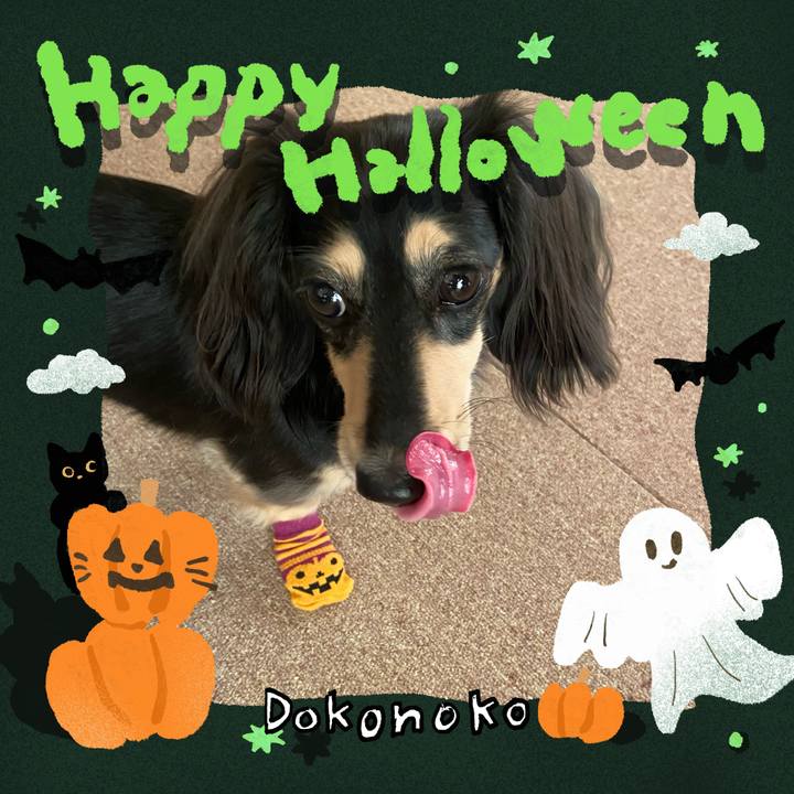 6e3c9ee4 2e02 4195 a04e 0a12907fd78a 1730326011253