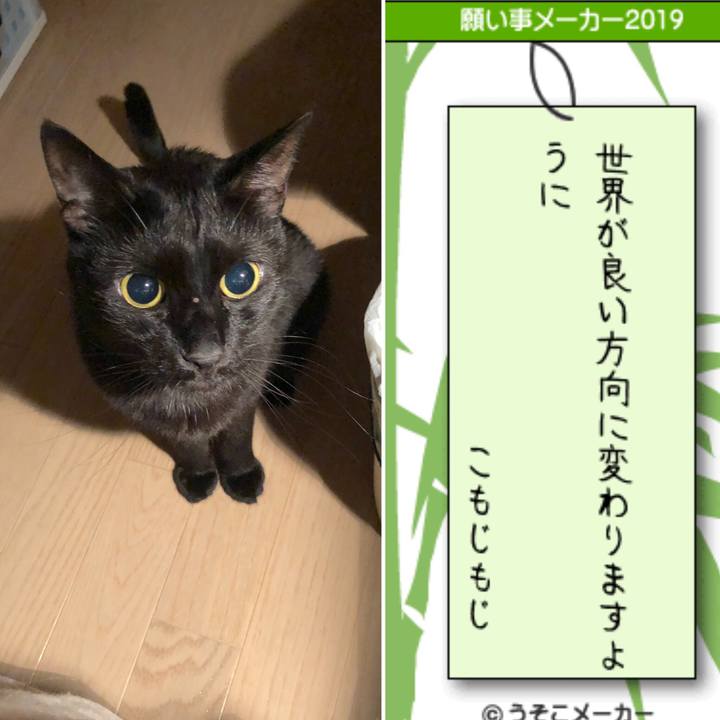 6e3cd35c fe2d 4255 a942 9a7545159d91 1562505364550