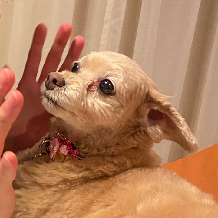 6e3d20b2 4629 4547 afb7 f30f64edd419 1609472901951