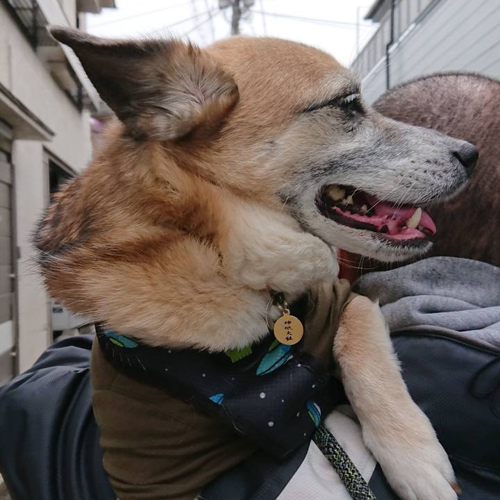 6e3d4899 6057 482d 999c bb90db6bd55b 1555340059225