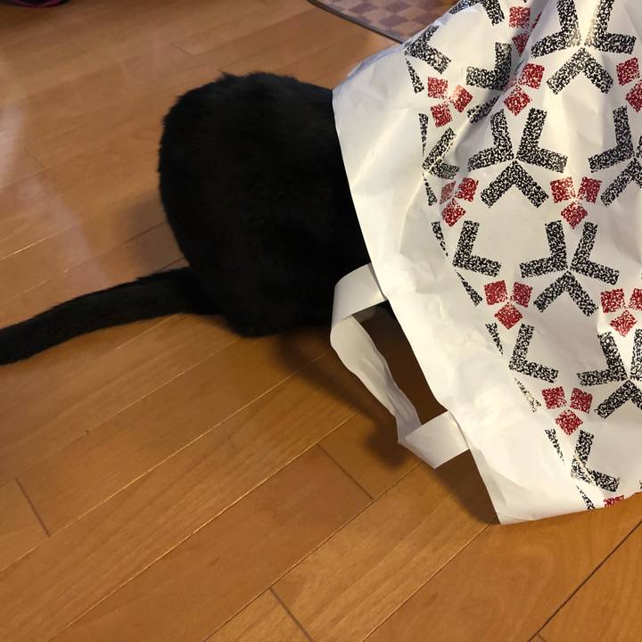 6e3d6bc2 bc4b 479c b5b8 901c45469b56 1518733232300