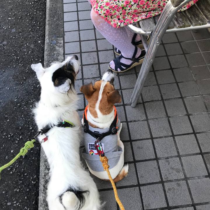 6e3d7cb3 44cb 4f23 86f4 b69f08d1c8eb 1537146392221