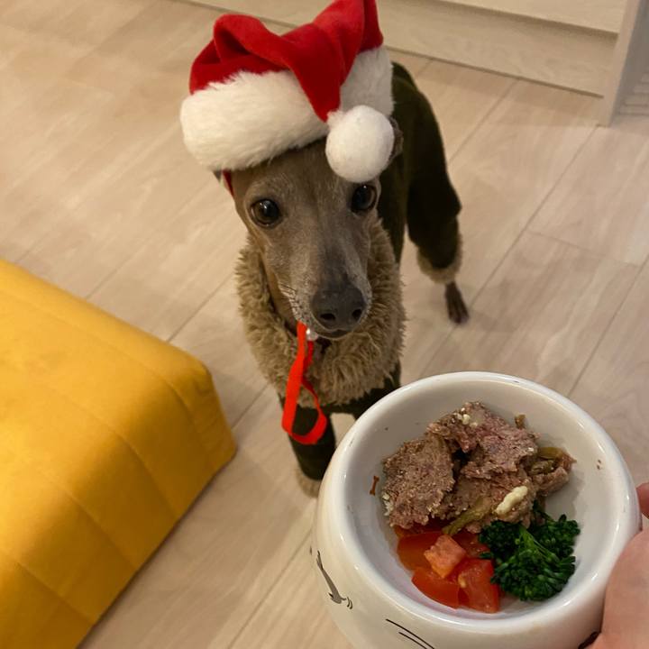 6e3d886a a03b 45d2 8521 f97c3c694f65 1766617628899