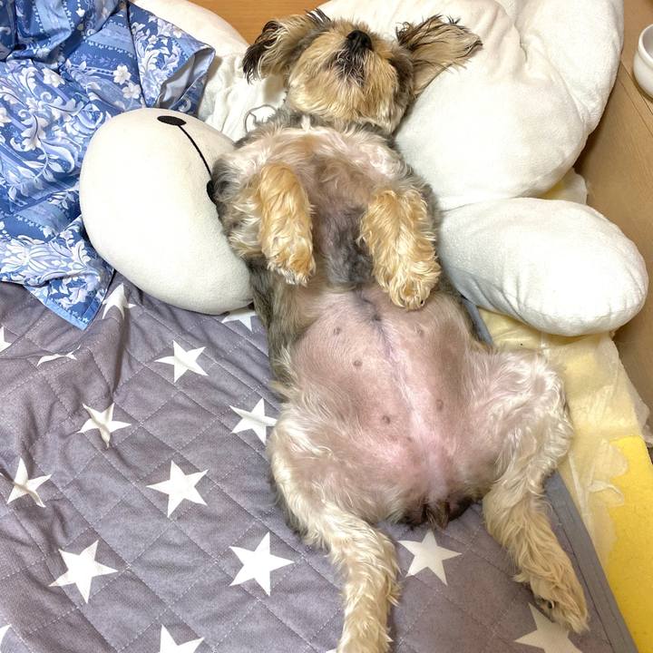 6e3d9840 c958 4f80 949f 7243557a7e27 1624103861908