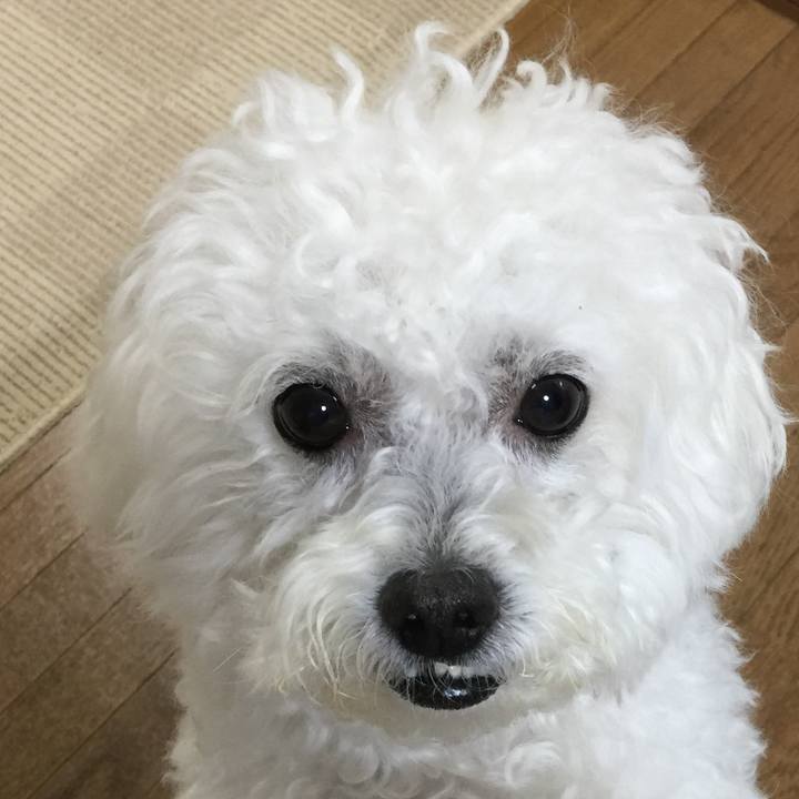 6e3dbace b874 4ef1 b9c6 0b996f6ebd90 1548112412199