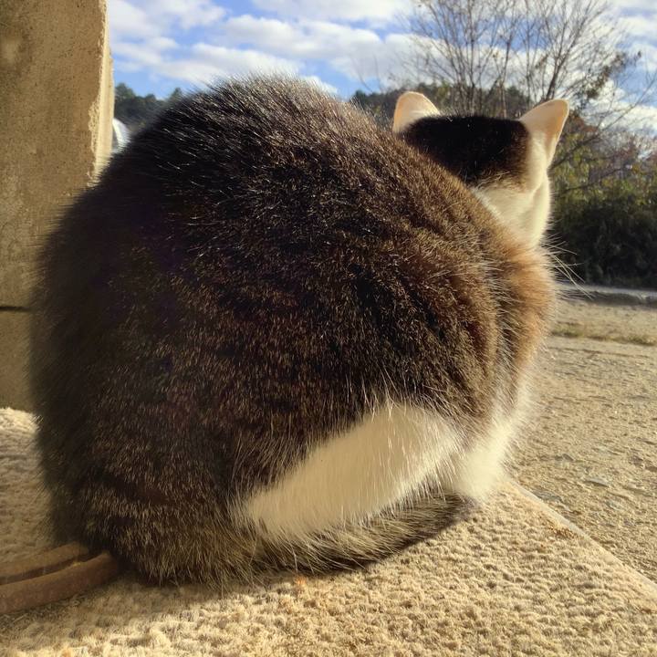 6e3dff99 dfd1 4381 9303 774686b4f4c7 1608445392057