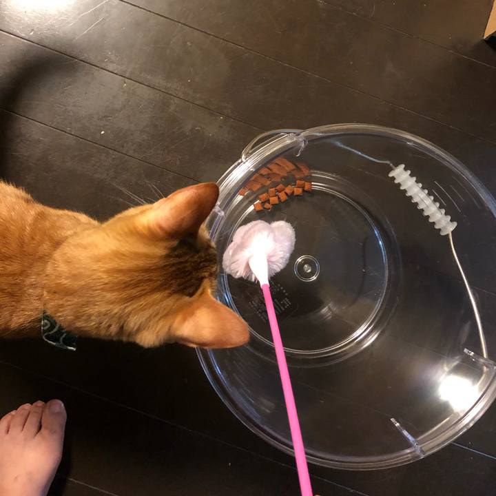 6e3e0117 ecd1 44cd a1b1 aa4ec00b613a 1632995339834