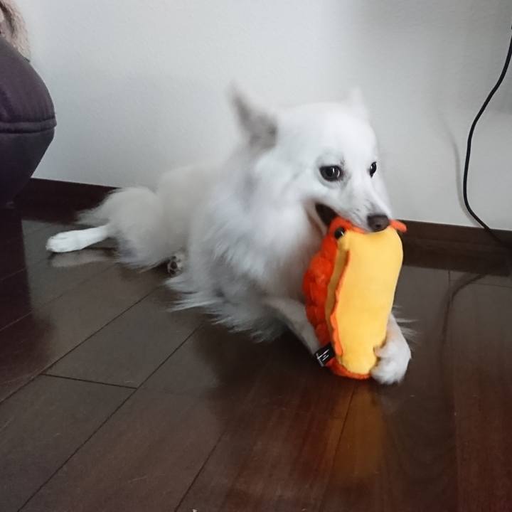 6e3e0ab9 e67b 4e61 bd9d 0ab7ba9c17e4 1561516973980