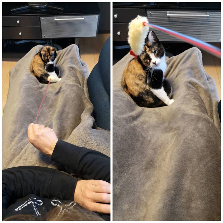 6e3e0bd6 8255 40b0 a1e7 4773634c41ec 1614328154389