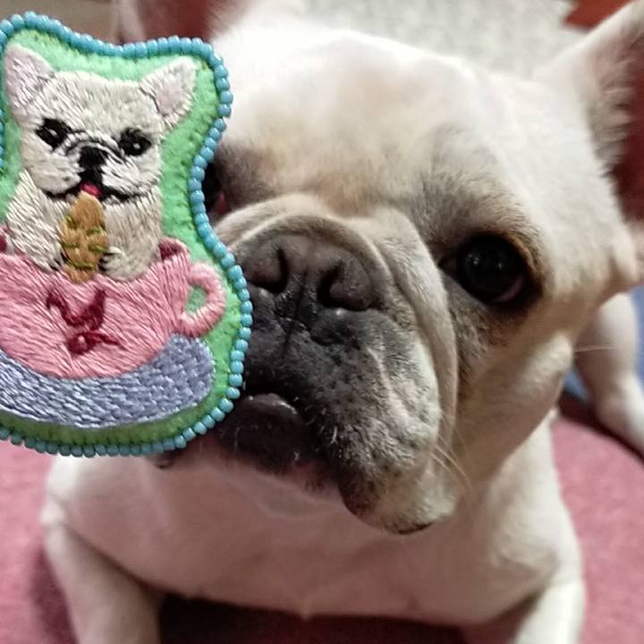 6e3e122f 83a7 4213 8fd6 d370311ad600 1656929015587