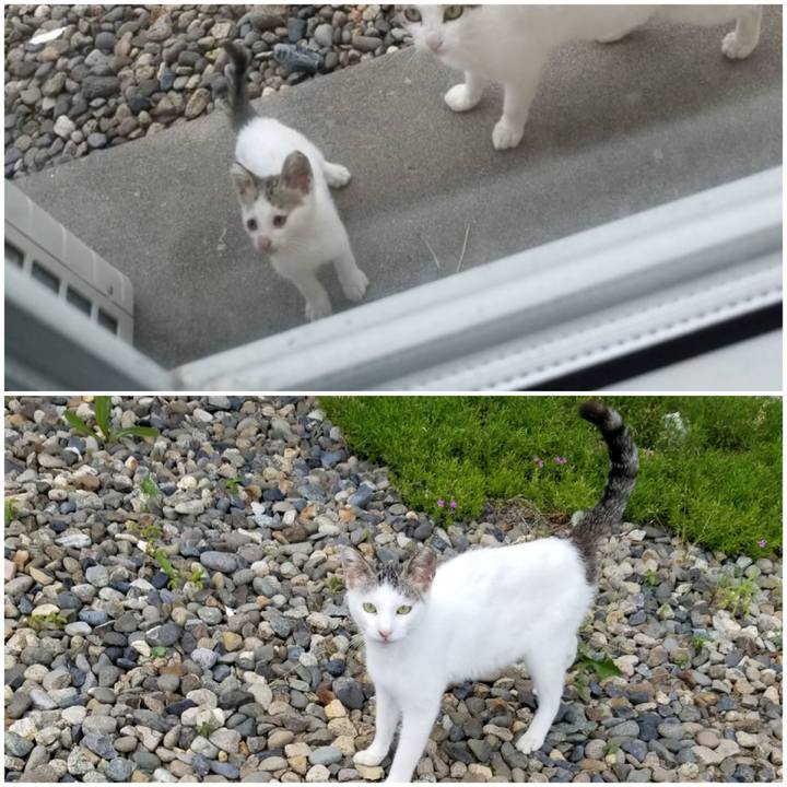 6e3e2148 a118 4698 9ae1 daadbe146b8c 1657371076892