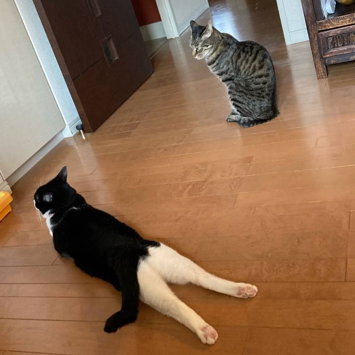 6e3e3583 5b7f 4222 b844 274929bc436a 1656837072736