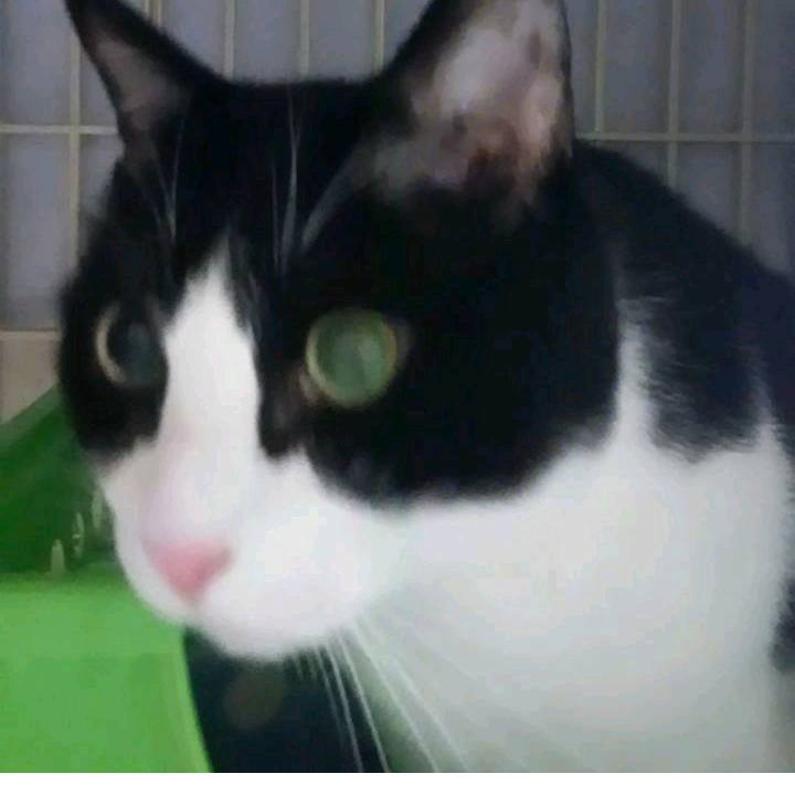 6e3e3ec4 2d07 41e7 920f a5c748b3c0de 1528190863780