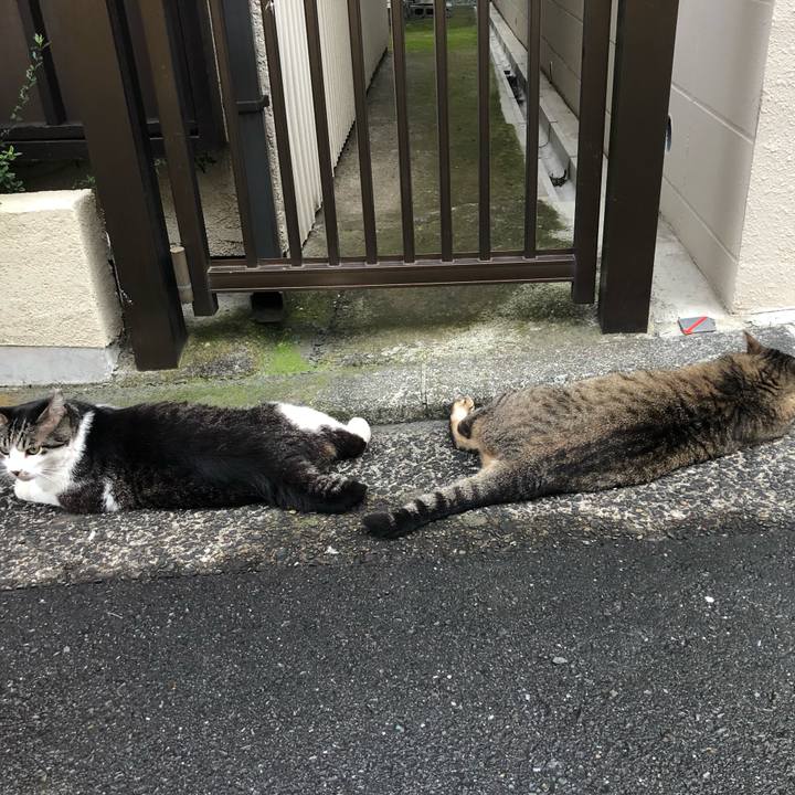 6e3e4178 6417 4673 99d9 8a2493704683 1593171199051