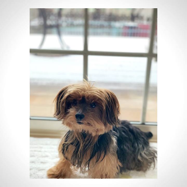 6e3e6f3c 71a5 438d b5d7 c5be648127ff 1549676286114