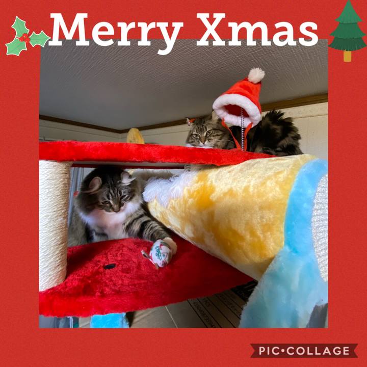 6e3ea559 c138 4bb2 9cf1 73d3b8a26395 1577285683726