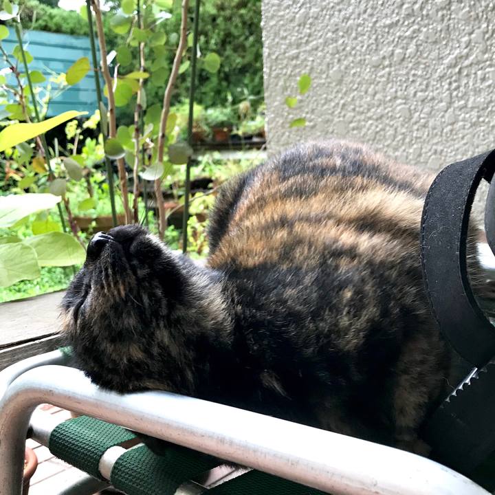 6e3edb31 555d 4d88 ac99 1dc09418b8ee 1537410945635