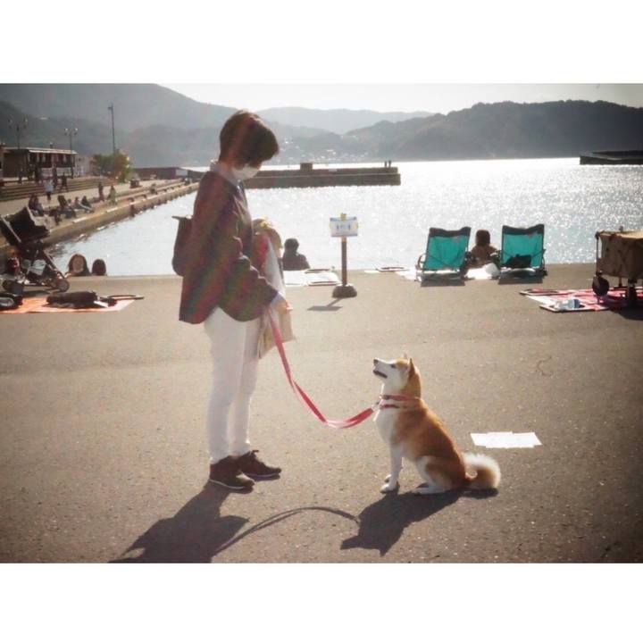 6e3edcc3 8e78 45f3 a908 e01dc050e109 1636100288359