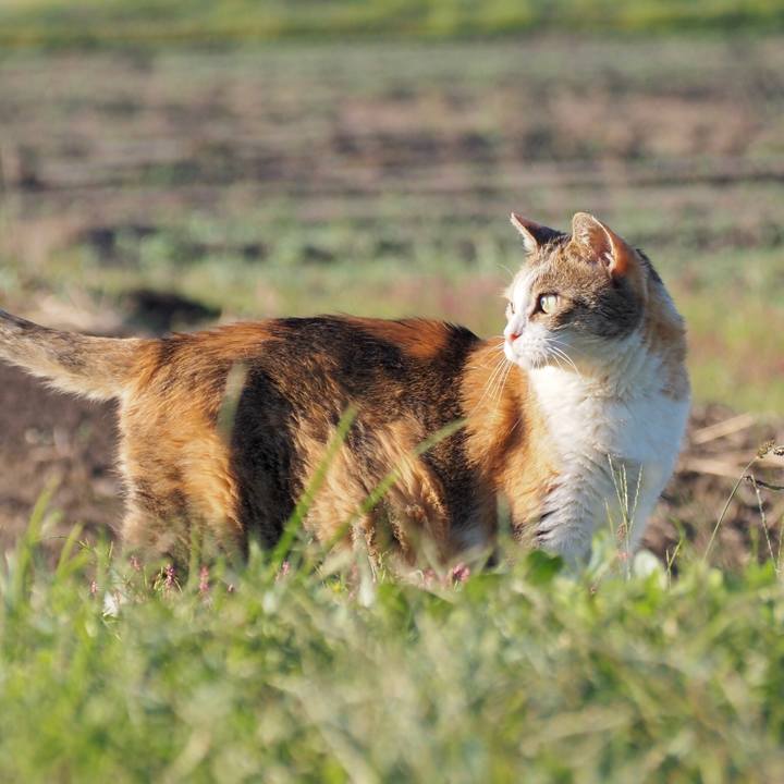 6e3f1af6 5fdd 44e9 afb6 e561f52caa1b 1765710230117