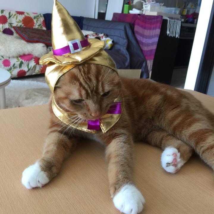 6e3f3544 5f85 4e50 ad09 1d26a512f8f0 1540009751997