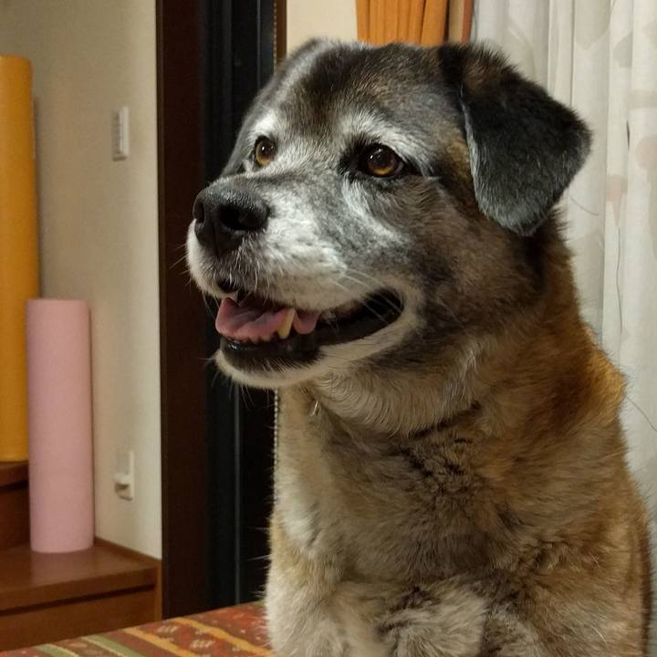 6e3f5362 0774 4954 8957 016f84f2f3e8 1522846384065