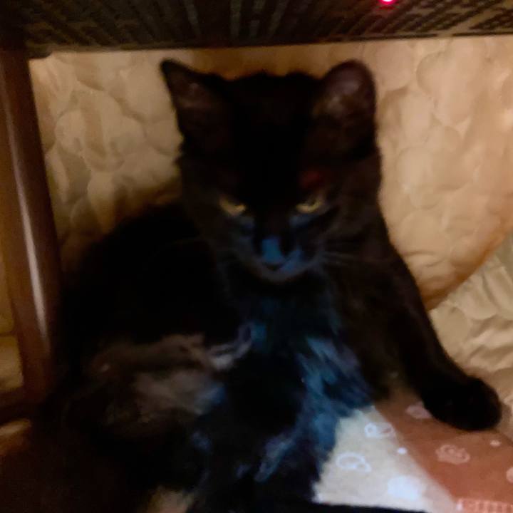 6e3f9ca1 bda7 44c8 82df 23a1604127a1 1708515027976