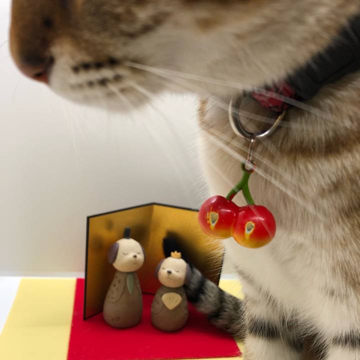 6e4064b3 5d6f 40d8 b6a0 3ae0e79371ec 1612575793114