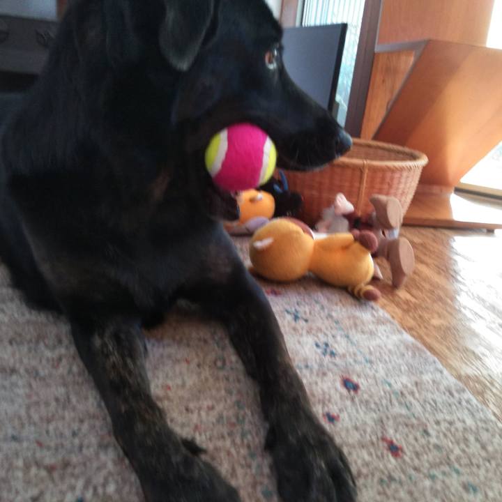 6e407f18 197d 4589 a579 51a5aa30a176 1569364042898