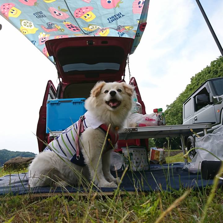 6e4084b8 b8e3 491c ad7d d647fbdf81fa 1559377246463