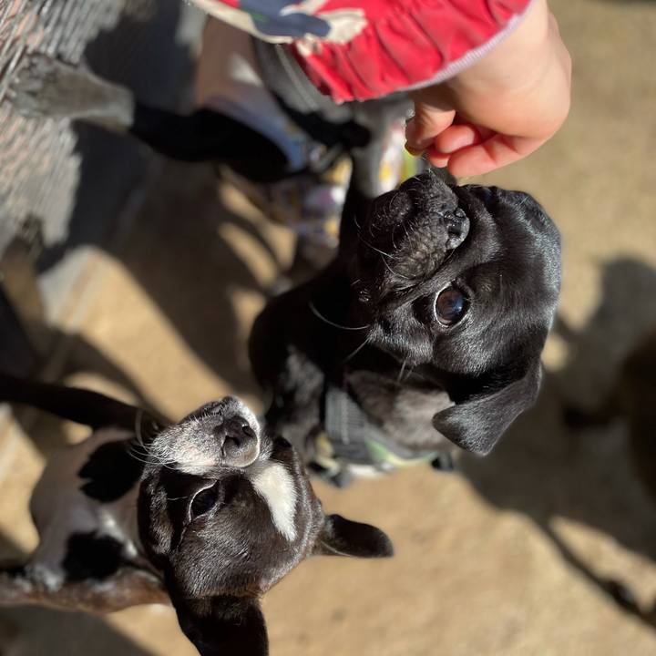 6e40e73e 3ca3 4c80 82b8 796ee0a499c3 1614640197754