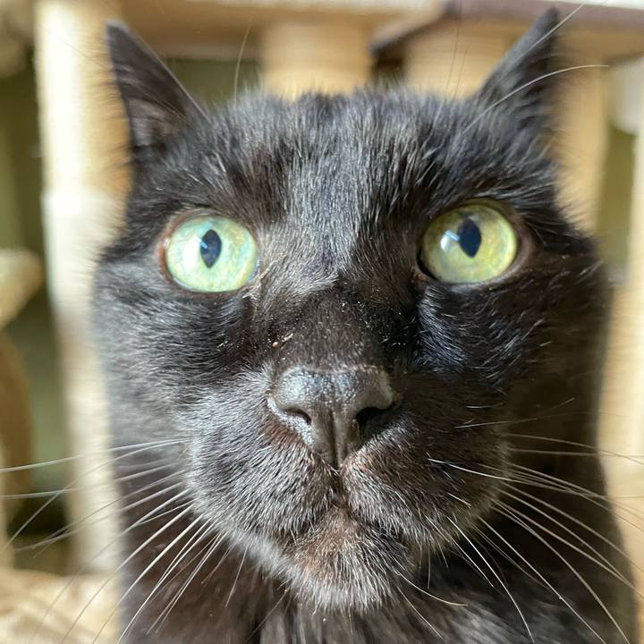 6e40fbb1 ca07 4854 8217 28bae0493eac 1644024879355