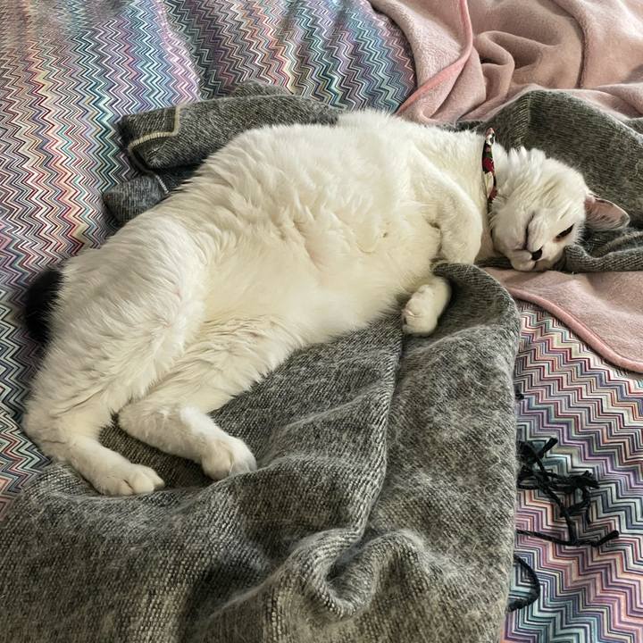 6e410b49 fe5f 4d9b b63a 7886555da3a7 1649979384423