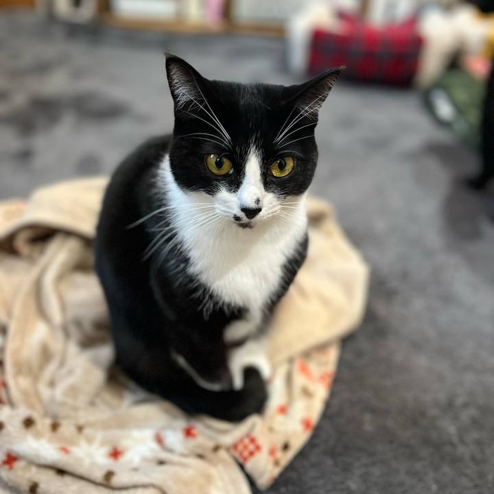 6e4139a9 b41c 4e3f 8181 ea9d3459cd2d 1675249896206