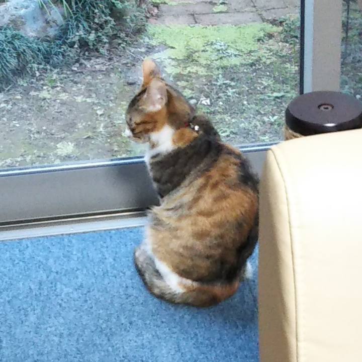 6e4147d0 82fa 4df5 b186 f50a434f6ffa 1640824548242