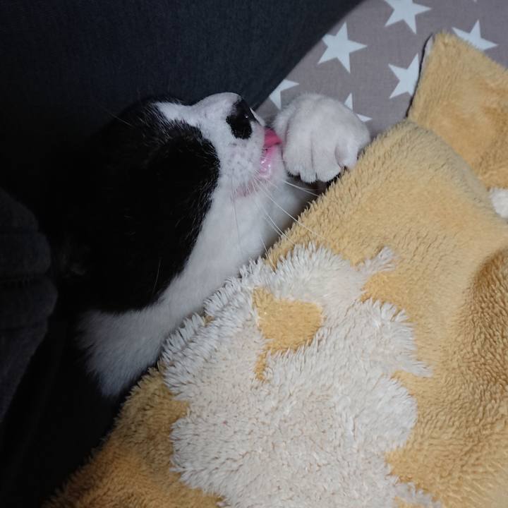 6e419b5d 6ee5 4035 b967 aea831869e10 1636191563251