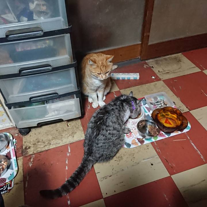 6e41b848 cf6f 41f0 ac8d c2a2de865c59 1587887578070