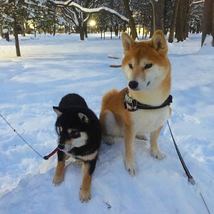 6e42510f 325c 45ef 9340 592ba14f66bb 1515391225640