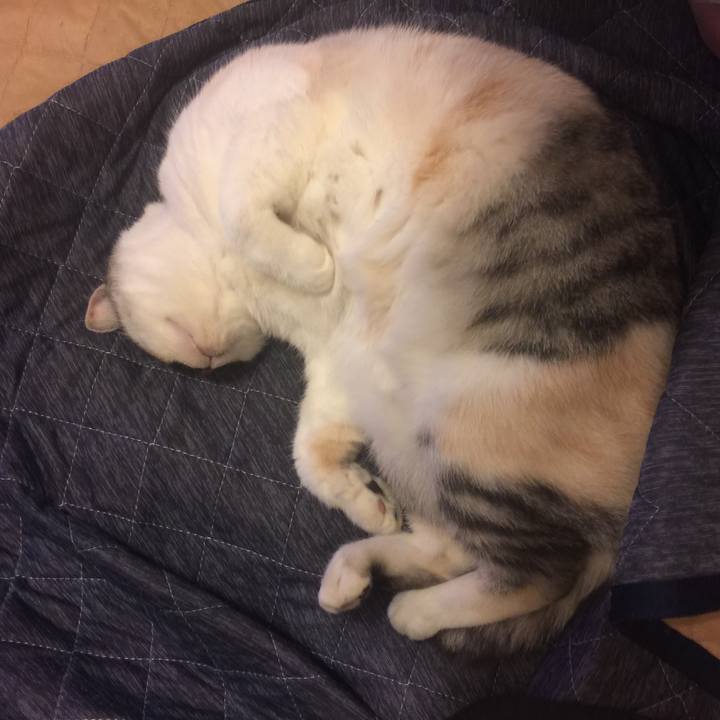 6e426889 636c 481b a5d3 33cc84bca5e0 1571586050737