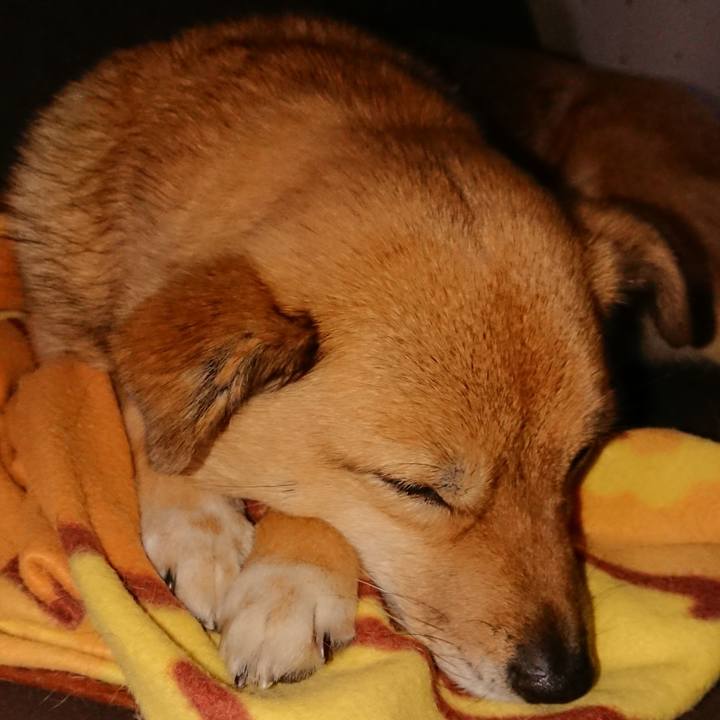 6e4287b3 6cbb 4d53 b3c3 33a122994d37 1640443500511