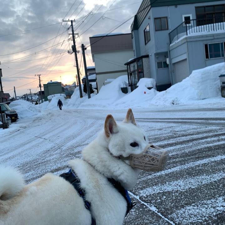 6e429396 f8e3 4b42 8303 b25181525a52 1646689991778