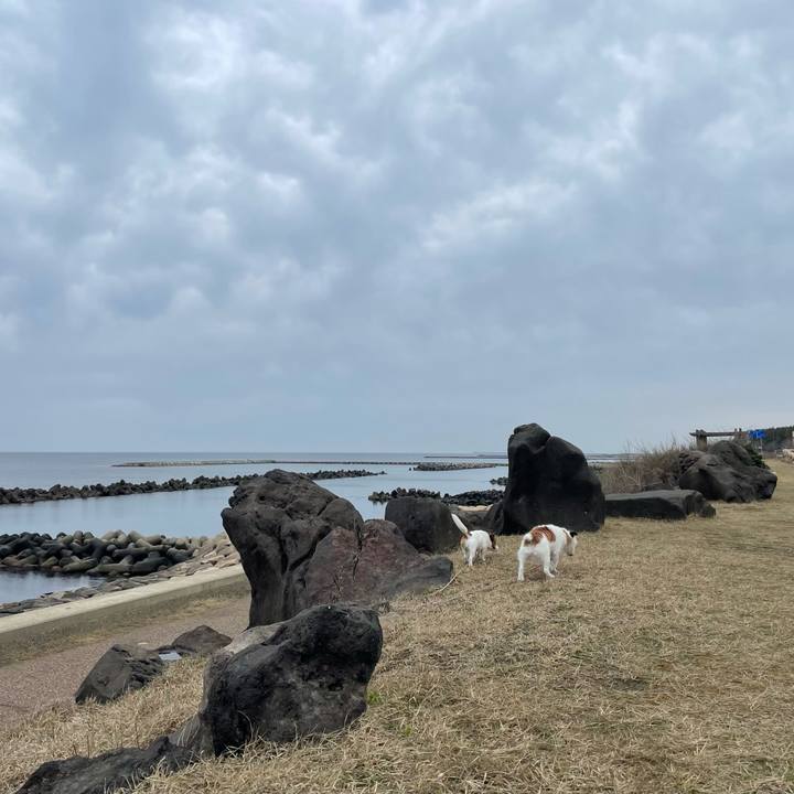 6e429ac1 a8b5 426a a527 963823dcacc1 1648257829969